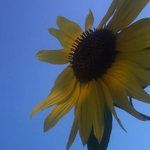 SHOP CLOSED TILL NOVEMBER!